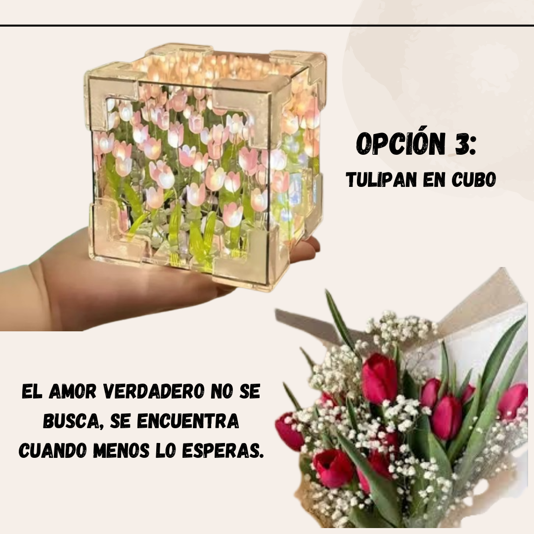 Lámpara de tulipanes en Conchita /Nuve /Cubo