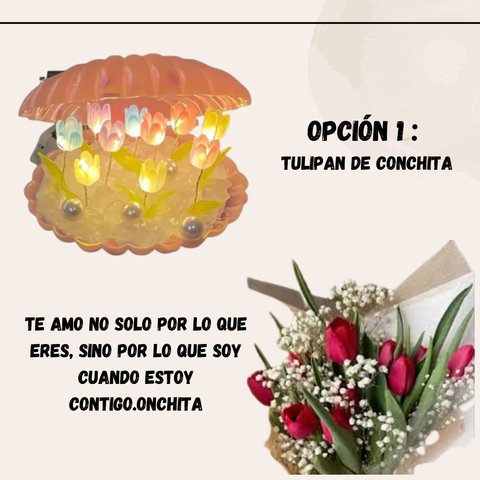 Image of Lámpara de tulipanes en Conchita /Nuve /Cubo